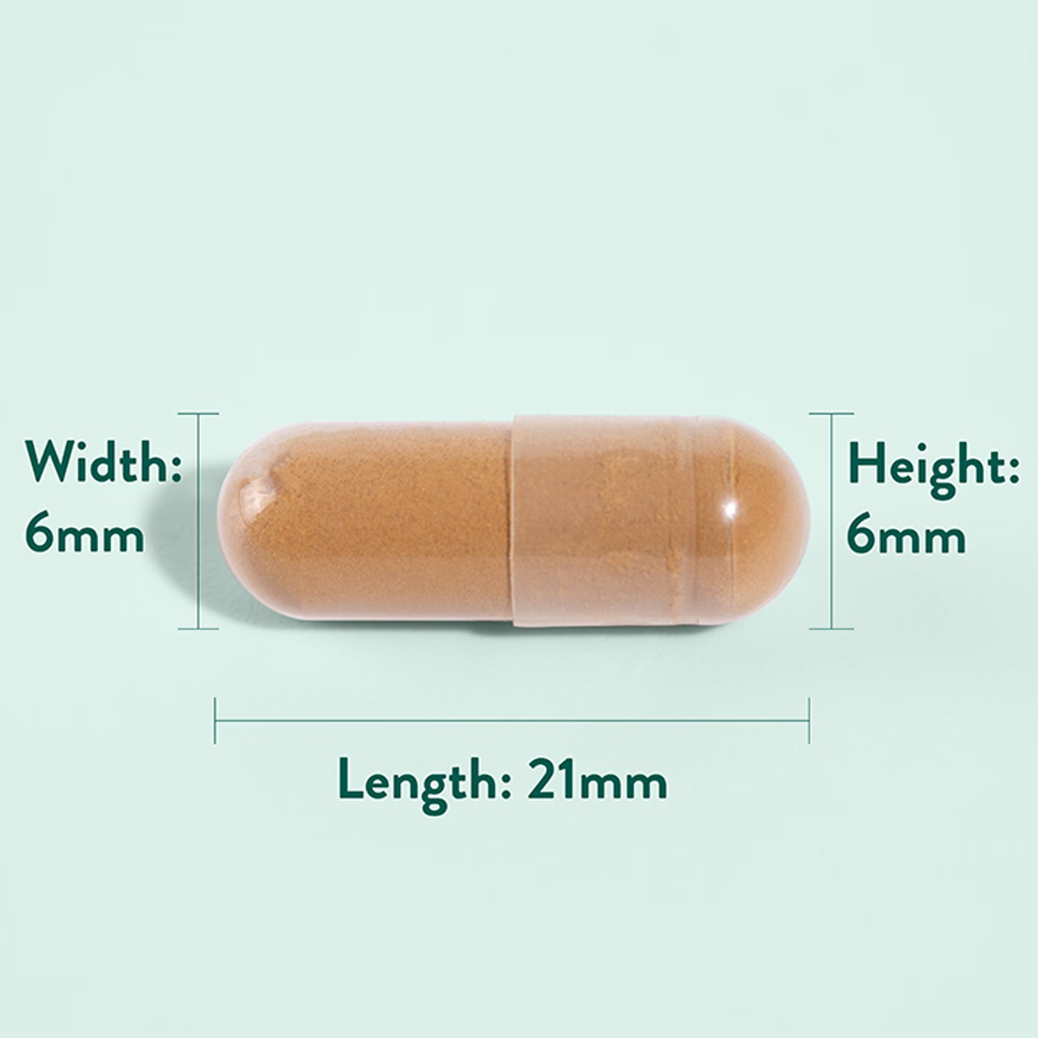 Holland Barrett Astragalus 470mg 90 Capsules