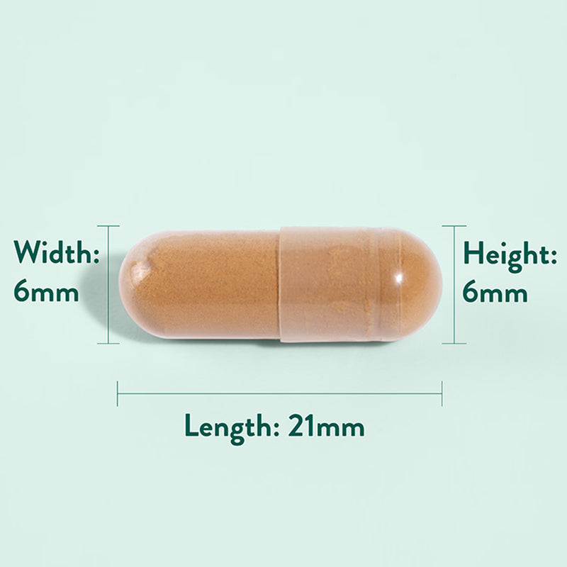 Holland Barrett Astragalus 470mg 90 Capsules