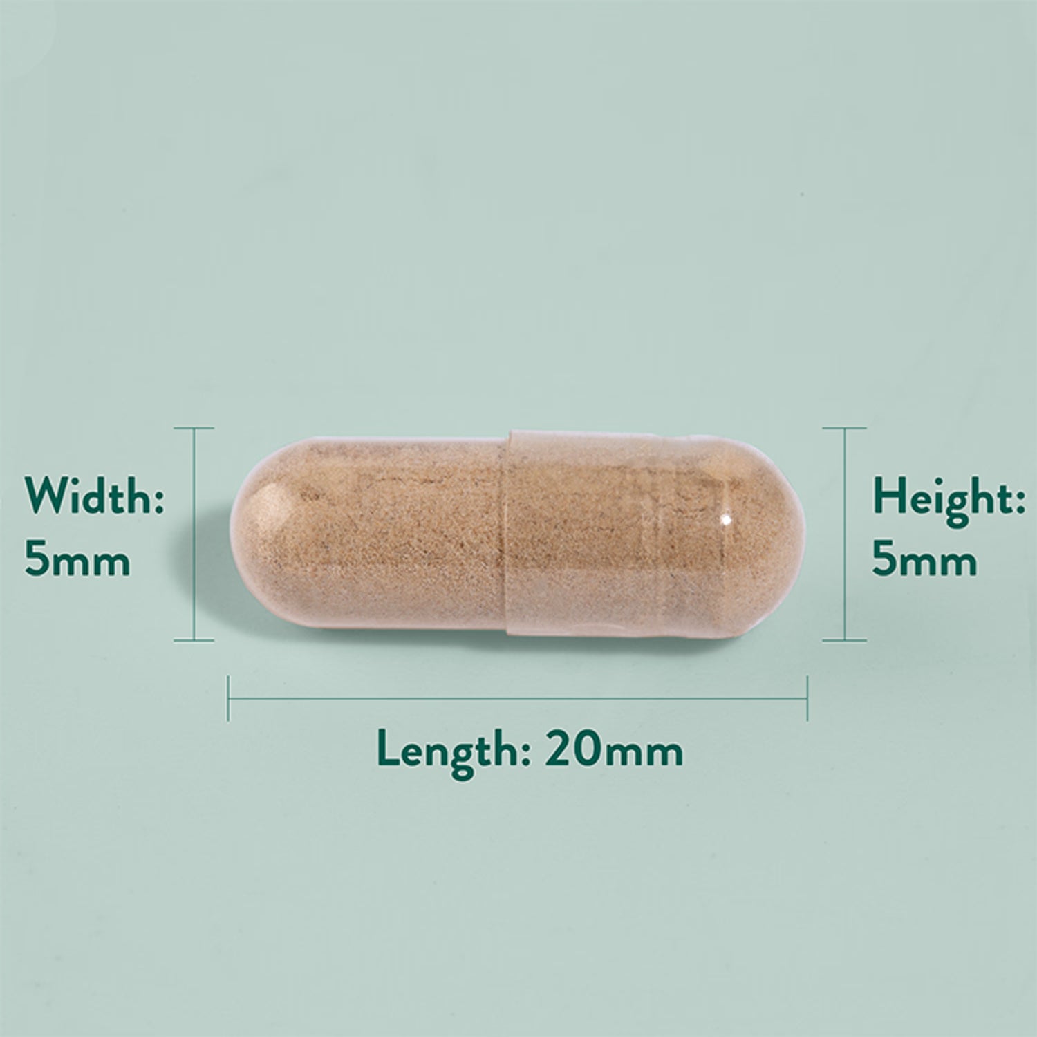 Holland Barrett Cats Claw 90 Capsules