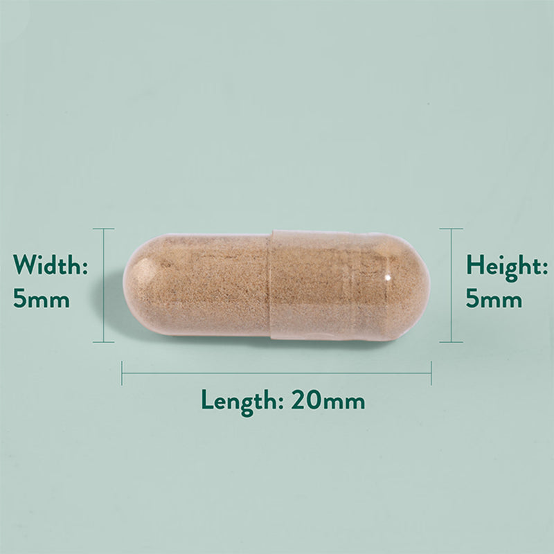 Holland Barrett Cats Claw 90 Capsules