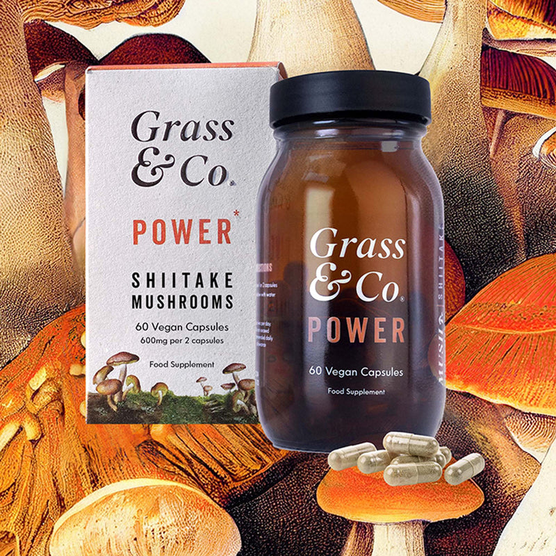 Shiitake Mushroom Extract with Holy Basil and Iron 60 Vegan Capsules