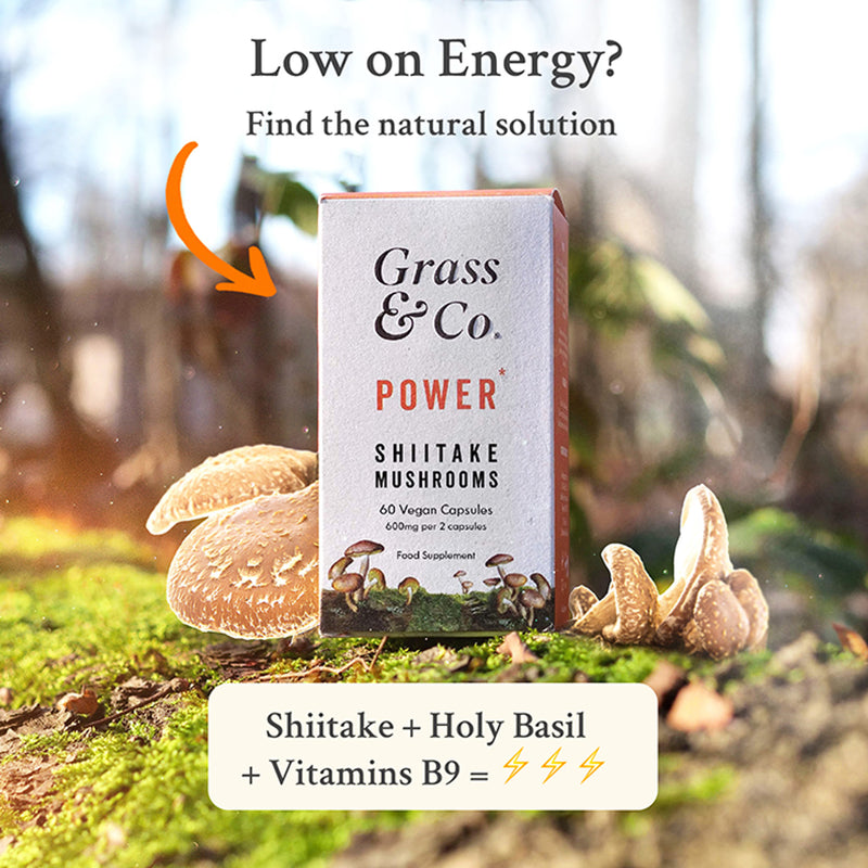 Shiitake Mushroom Extract with Holy Basil and Iron 60 Vegan Capsules