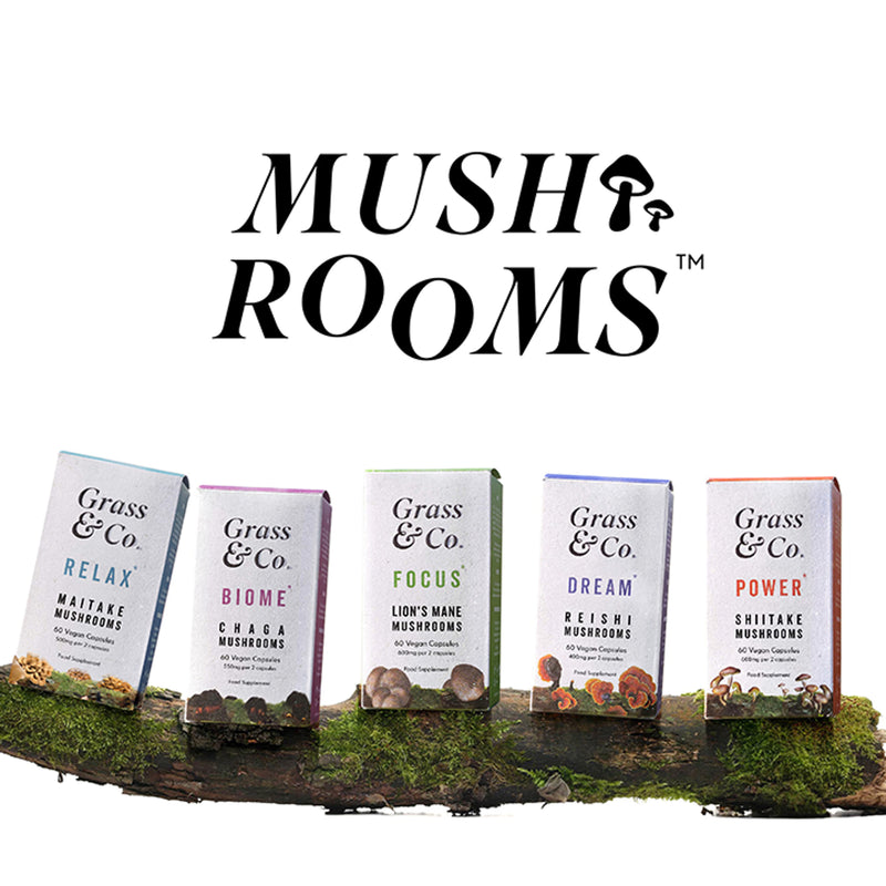 Shiitake Mushroom Extract with Holy Basil and Iron 60 Vegan Capsules