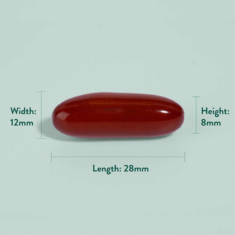 Holland Barrett Teen Brain Health With Omega 60 Softgel Capsule