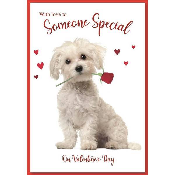 Simon Elvin Puppy Valentine Card (Pack of 6)