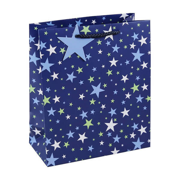 Eurowrap Stars Gift Bag (Pack of 12) (L)