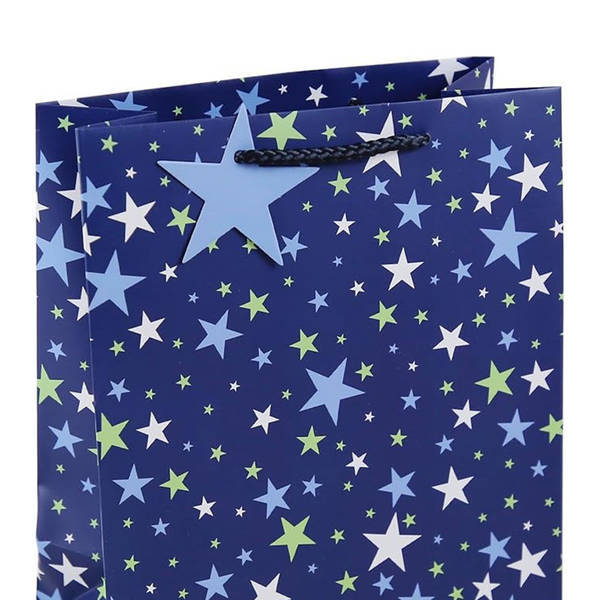 Eurowrap Stars Gift Bag (Pack of 12) (L)