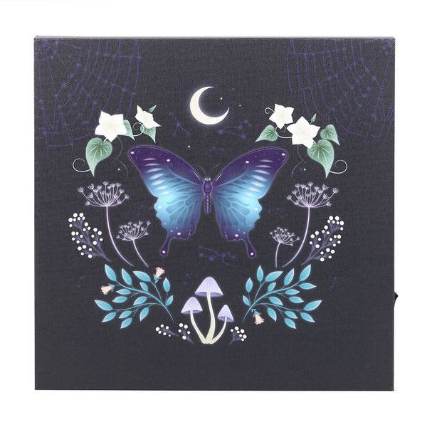 Something Different Midnight Moth Light Up Canvas