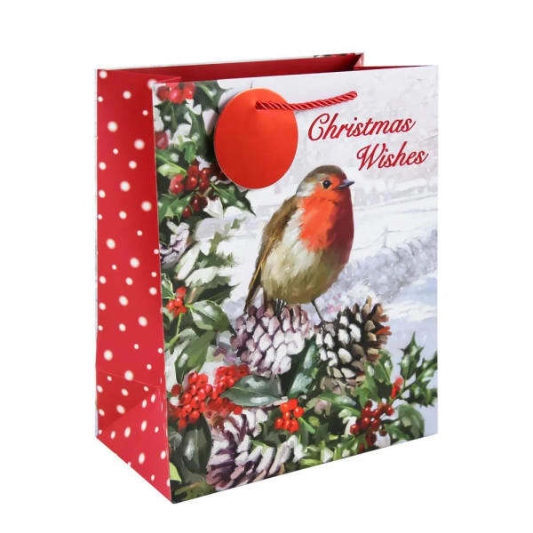 Eurowrap Robin Christmas Gift Bag (Pack of 12) (L)