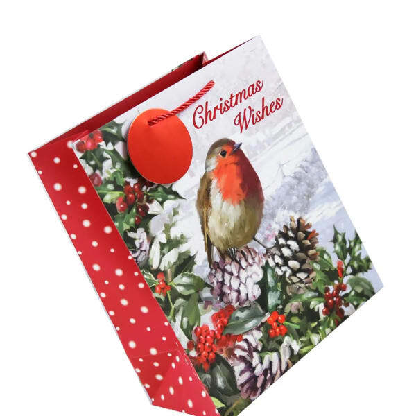 Eurowrap Robin Christmas Gift Bag (Pack of 12) (L)
