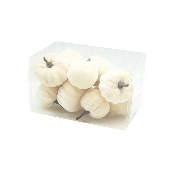 Heaven Sends Halloween Set of 12 Velvet Cream Pumpkin