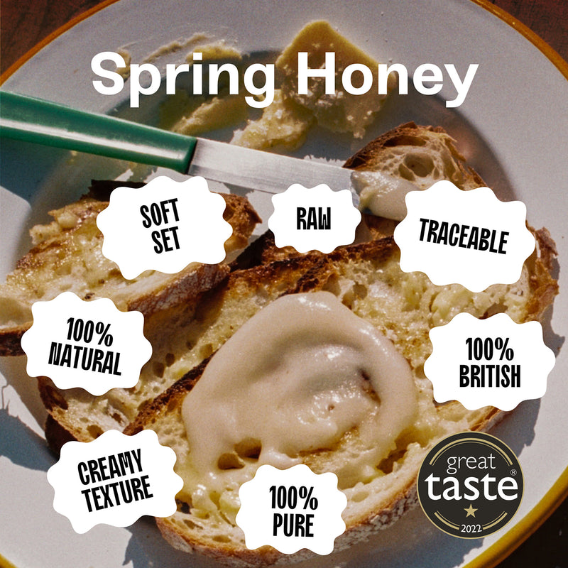 Black Bee British Spring Honey 227g