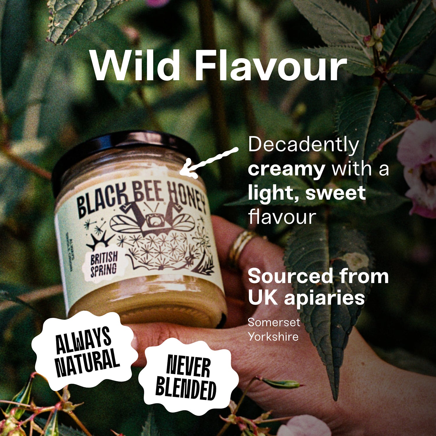 Black Bee British Spring Honey 227g