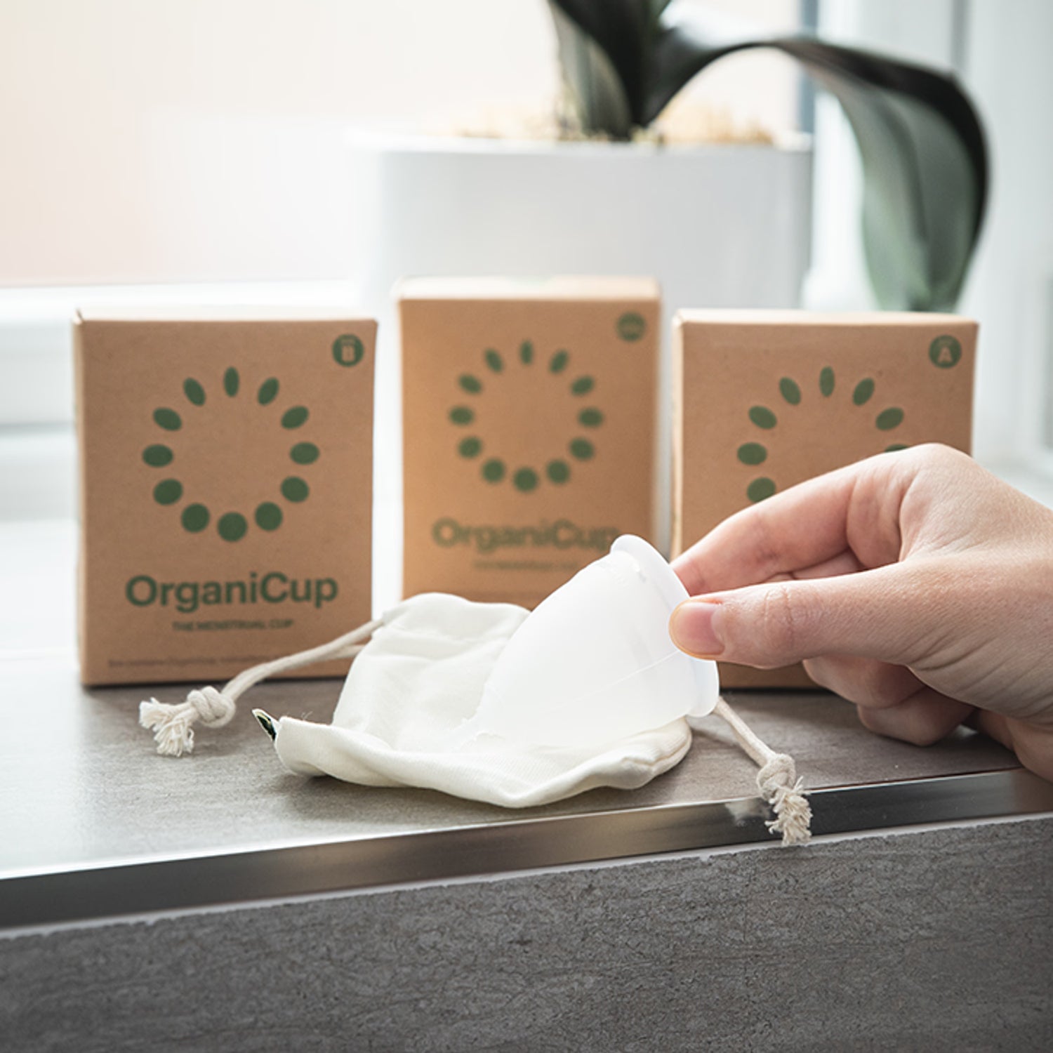 Allmatters Organicup The Menstrual Cup Size B