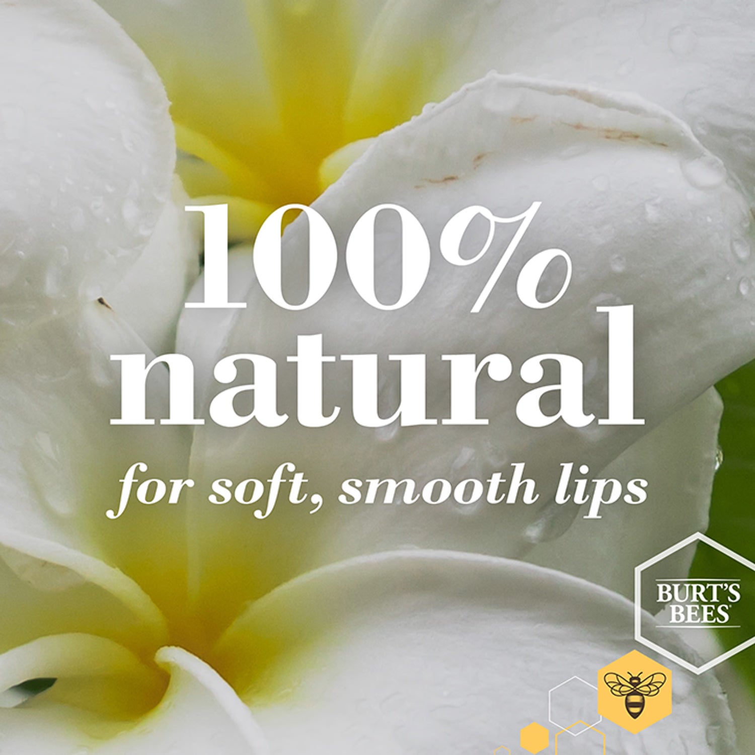 Burts Bees Ultra Conditioning Lip Balm with Kokum Butter 425g
