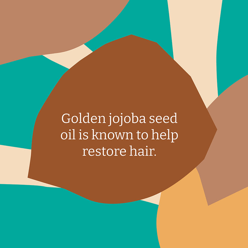 Faith In Nature Jojoba Conditioner 400ml