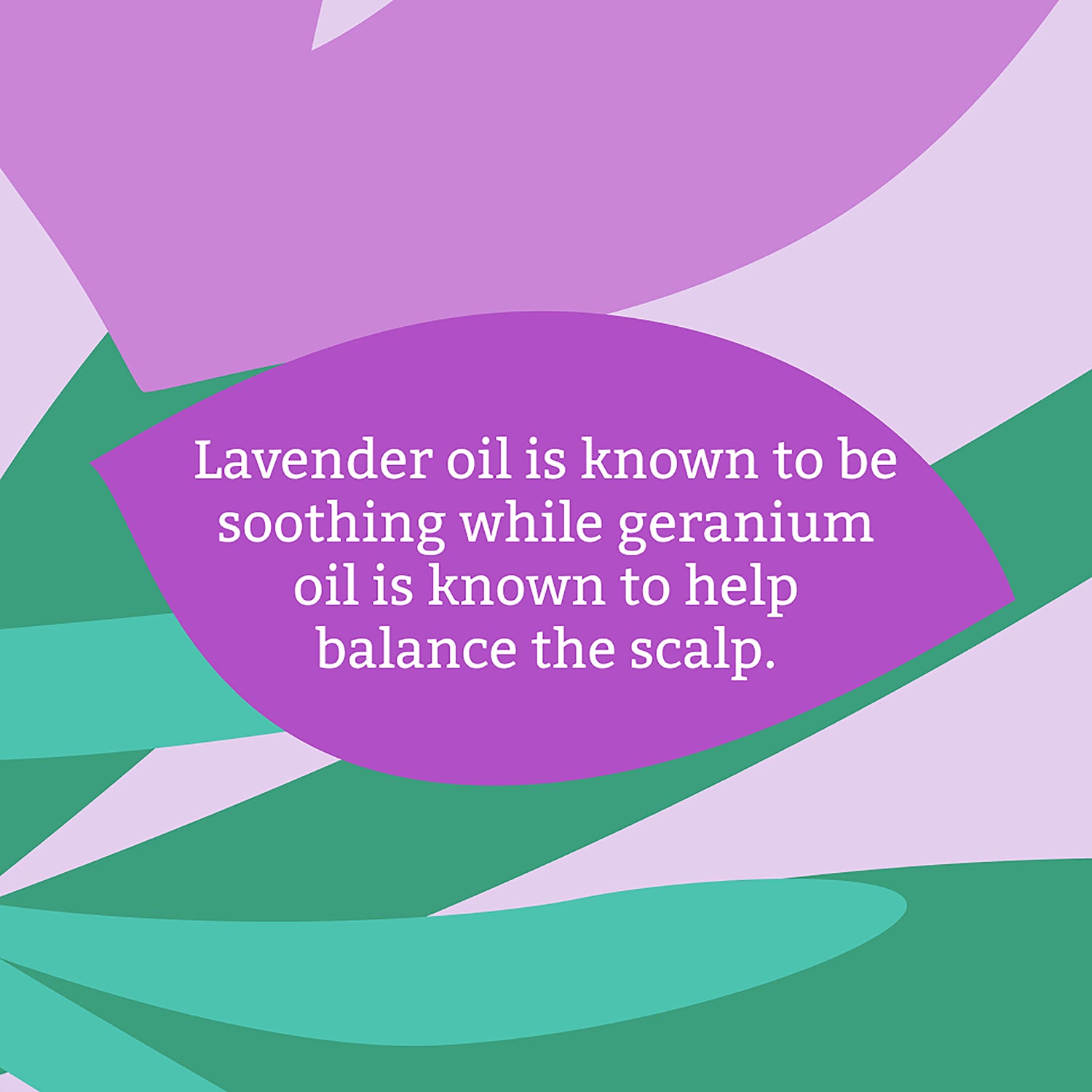 Faith in Nature Lavender Geranium Conditioner 5L