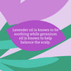 Faith in Nature Lavender Geranium Conditioner 5L
