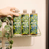 Faith in Nature Seaweed Citrus Body Wash 400ml