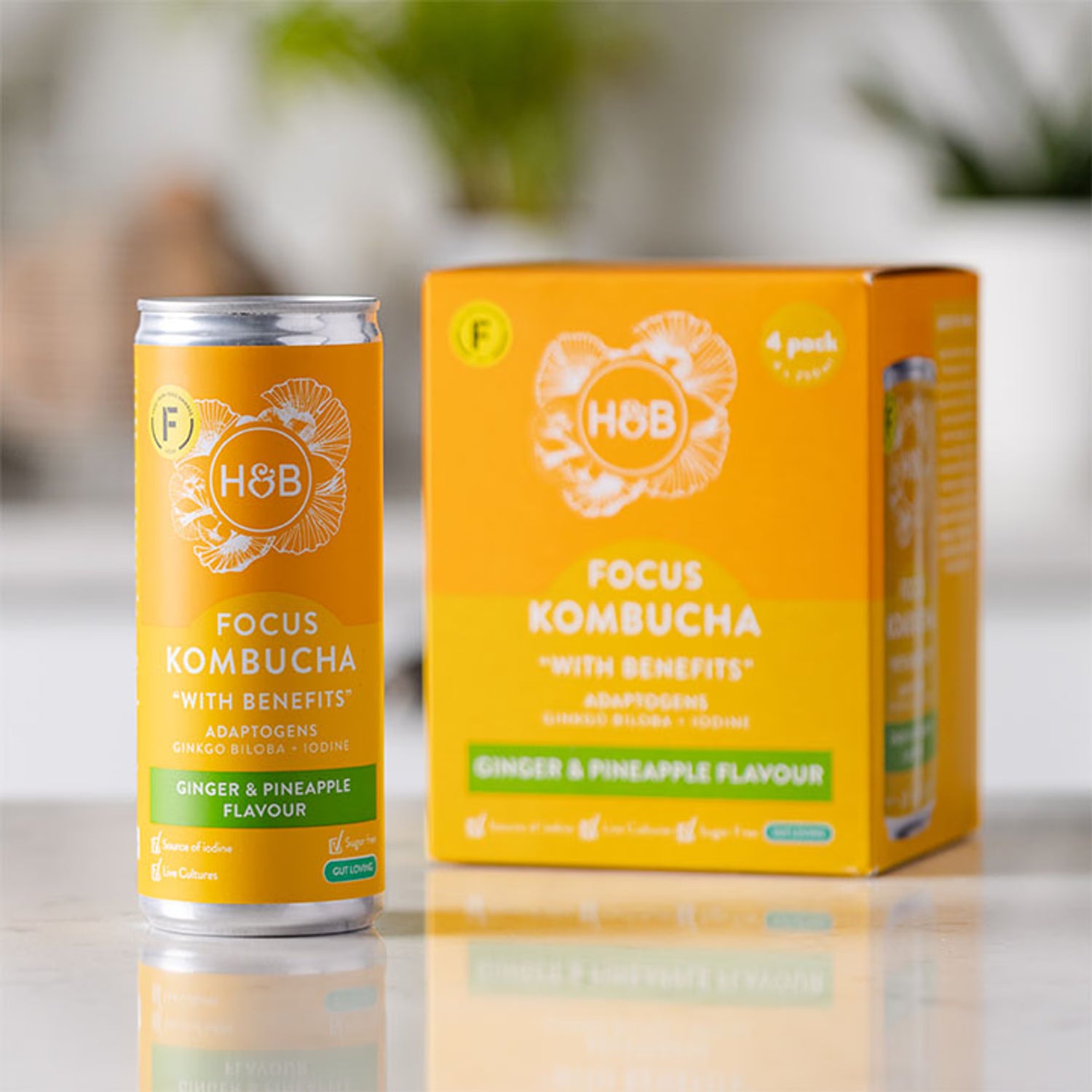Holland Barrett Focus Kombucha 4x 250ml