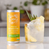 Holland Barrett Focus Kombucha 4x 250ml