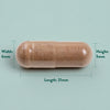 Holland Barrett Double Strength Grapeseed Extract 100mg 50 Capsules