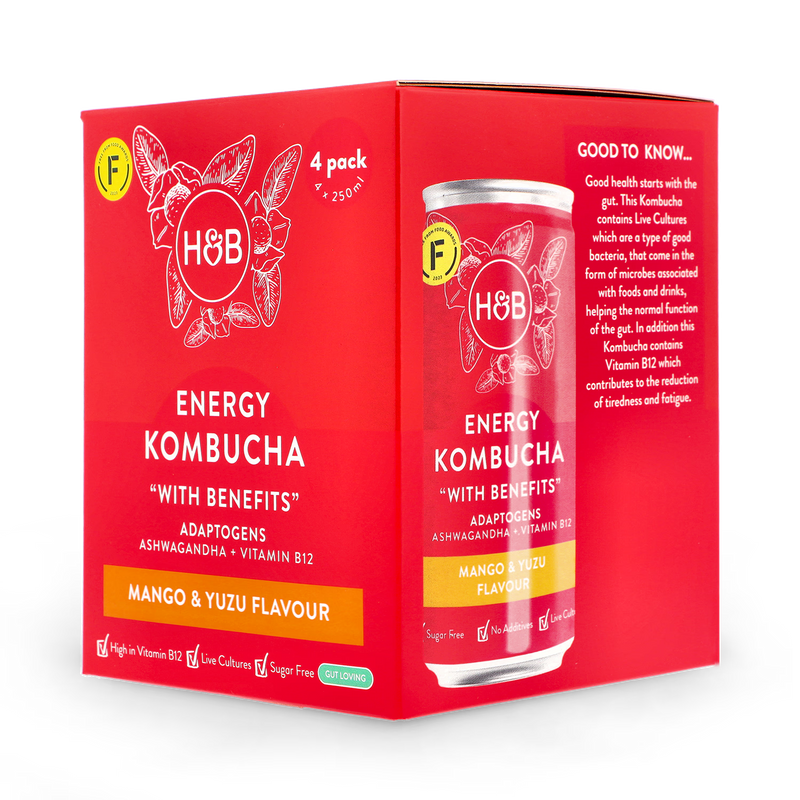 Holland Barrett Energy Kombucha 4x 250ml