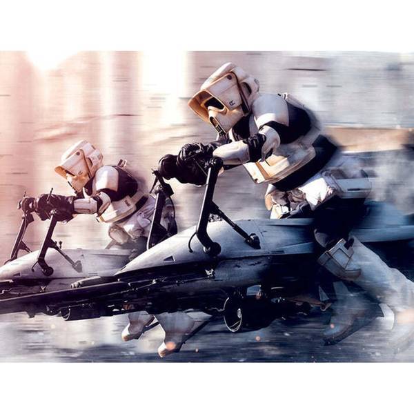 Canvas Print with Shoretrooper Design on Wood in 4 Colours