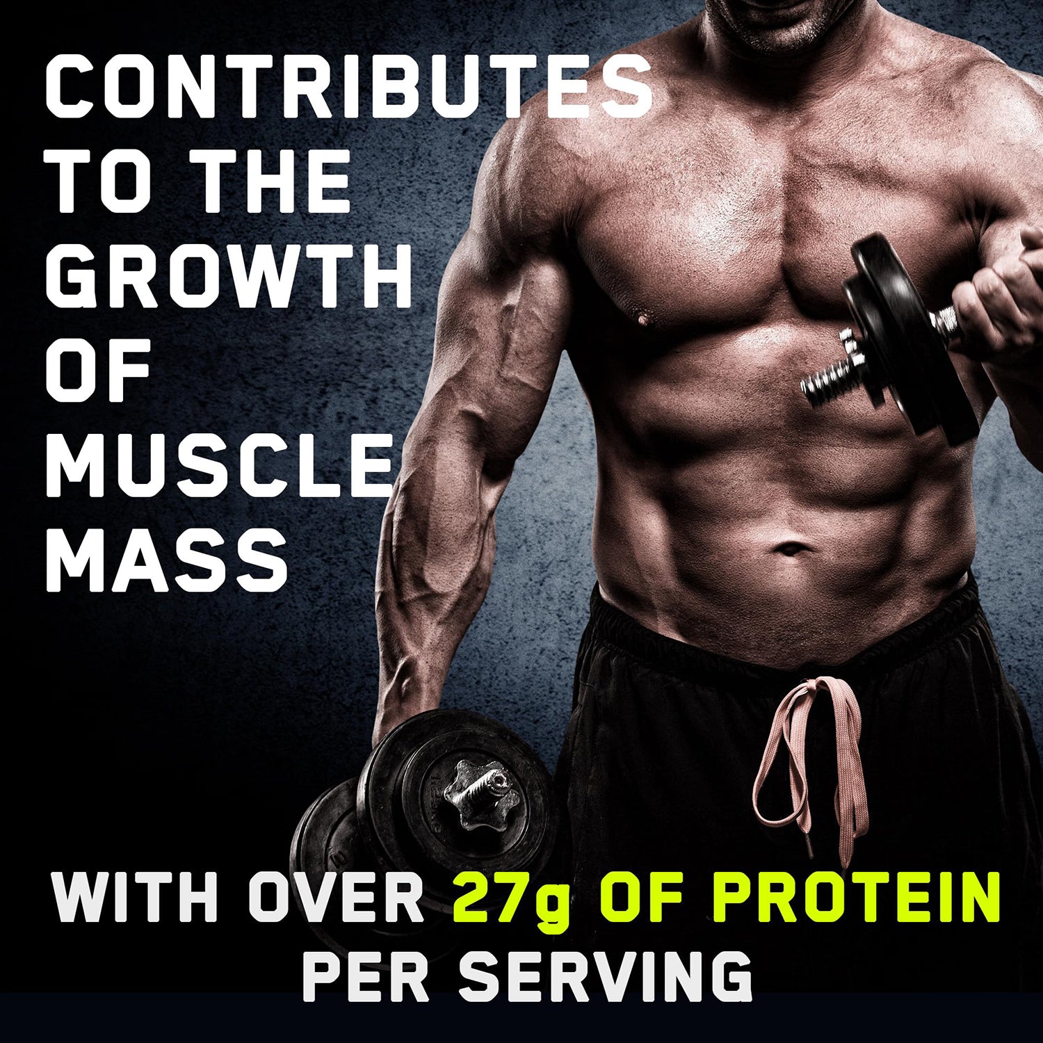 Dairy-Free Beef Protein Isolate Powder Tropical Vibes 1.8KG