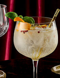 Luigi Bormioli American gin glasses set of 2 (British brand)