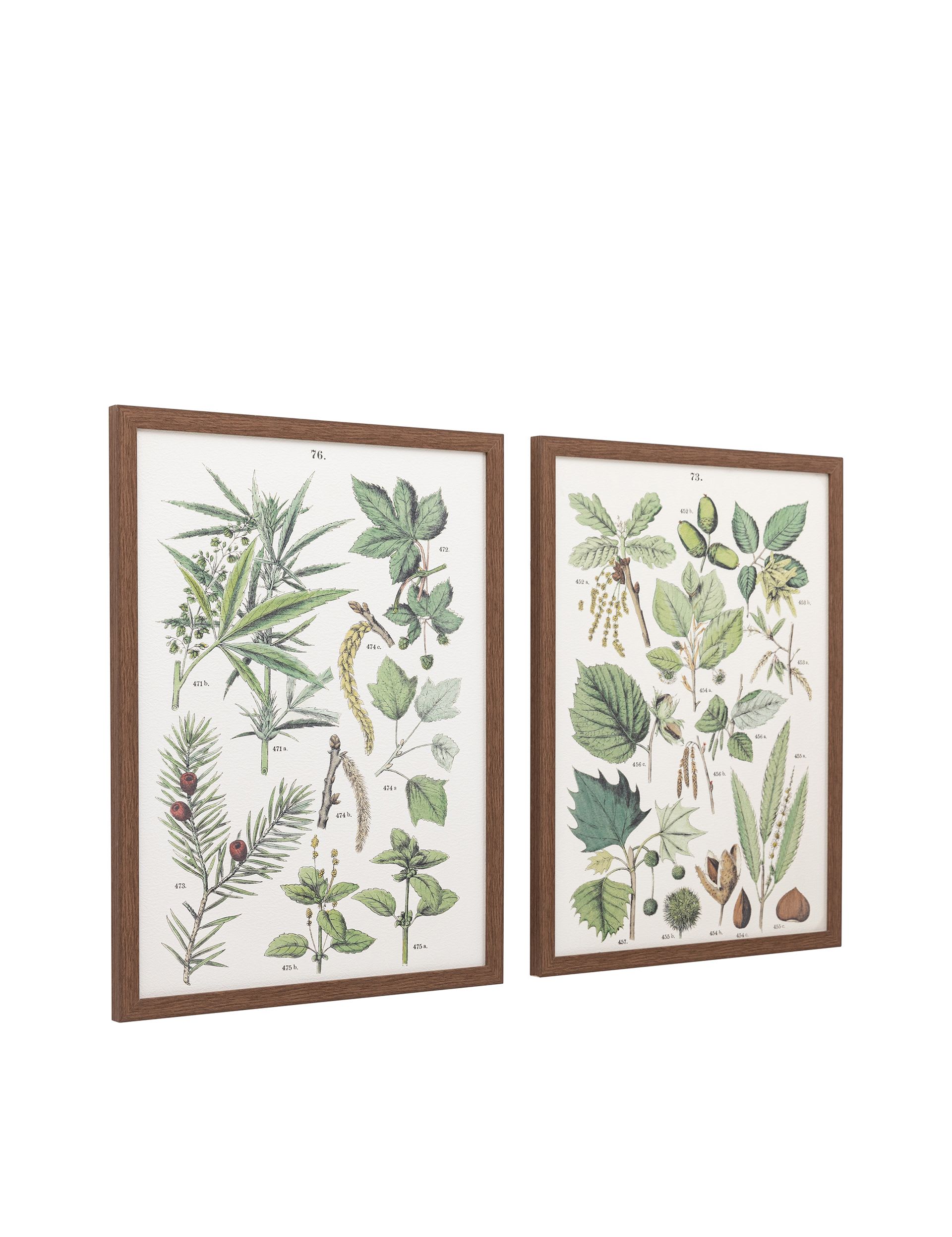Gallery Direct Foliage Study framed art set 80x60cm, UK version