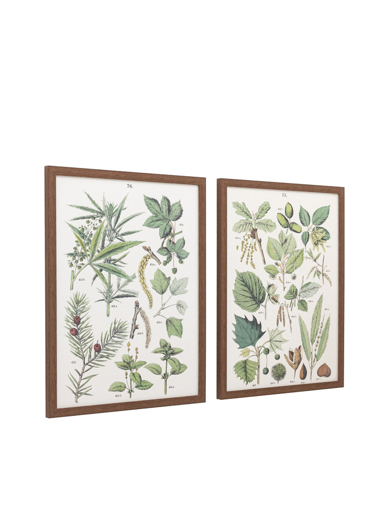 Gallery Direct Foliage Study framed art set 80x60cm, UK version