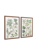 Gallery Direct Foliage Study framed art set 80x60cm, UK version