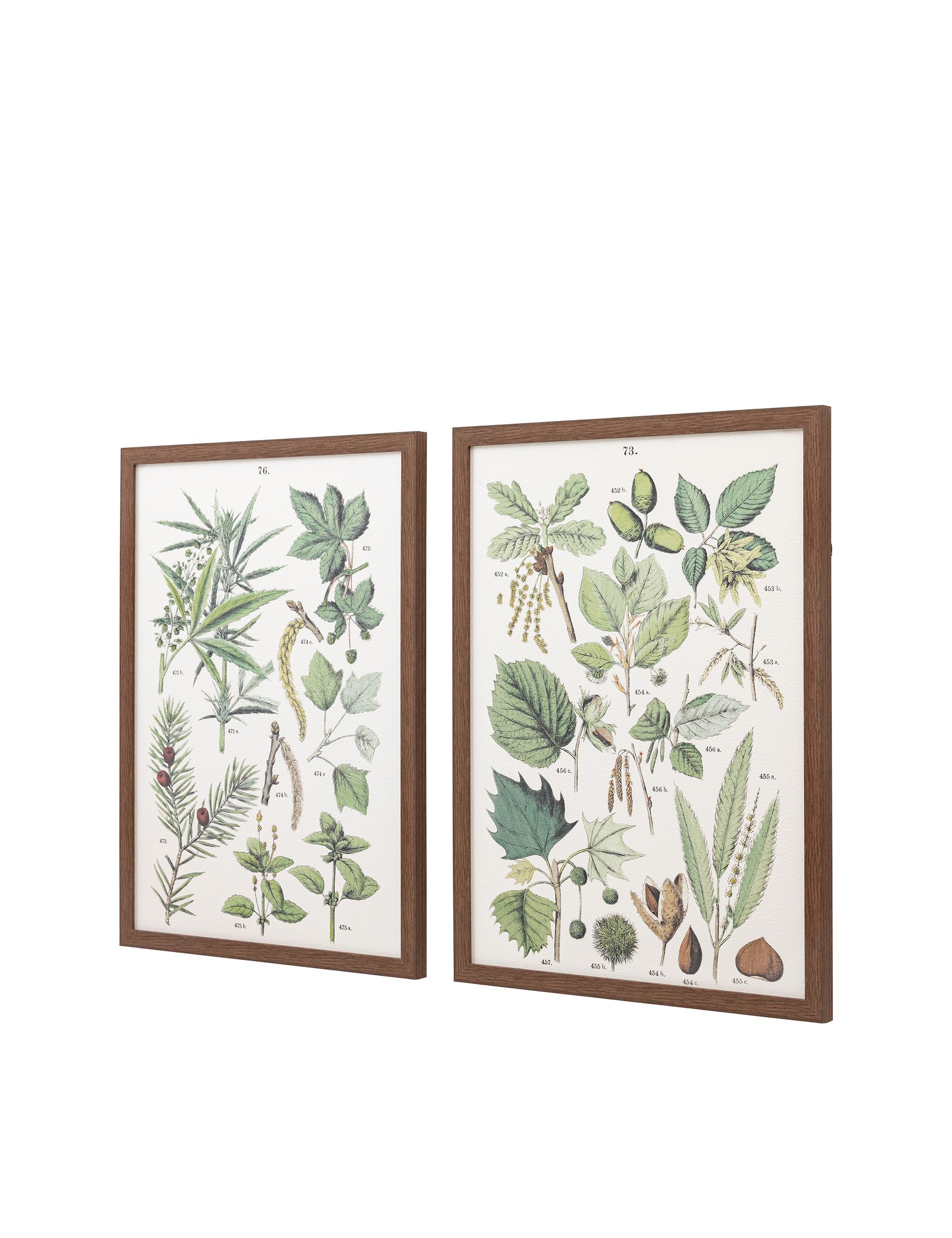 Gallery Direct Foliage Study framed art set 80x60cm, UK version