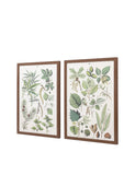 Gallery Direct Foliage Study framed art set 80x60cm, UK version