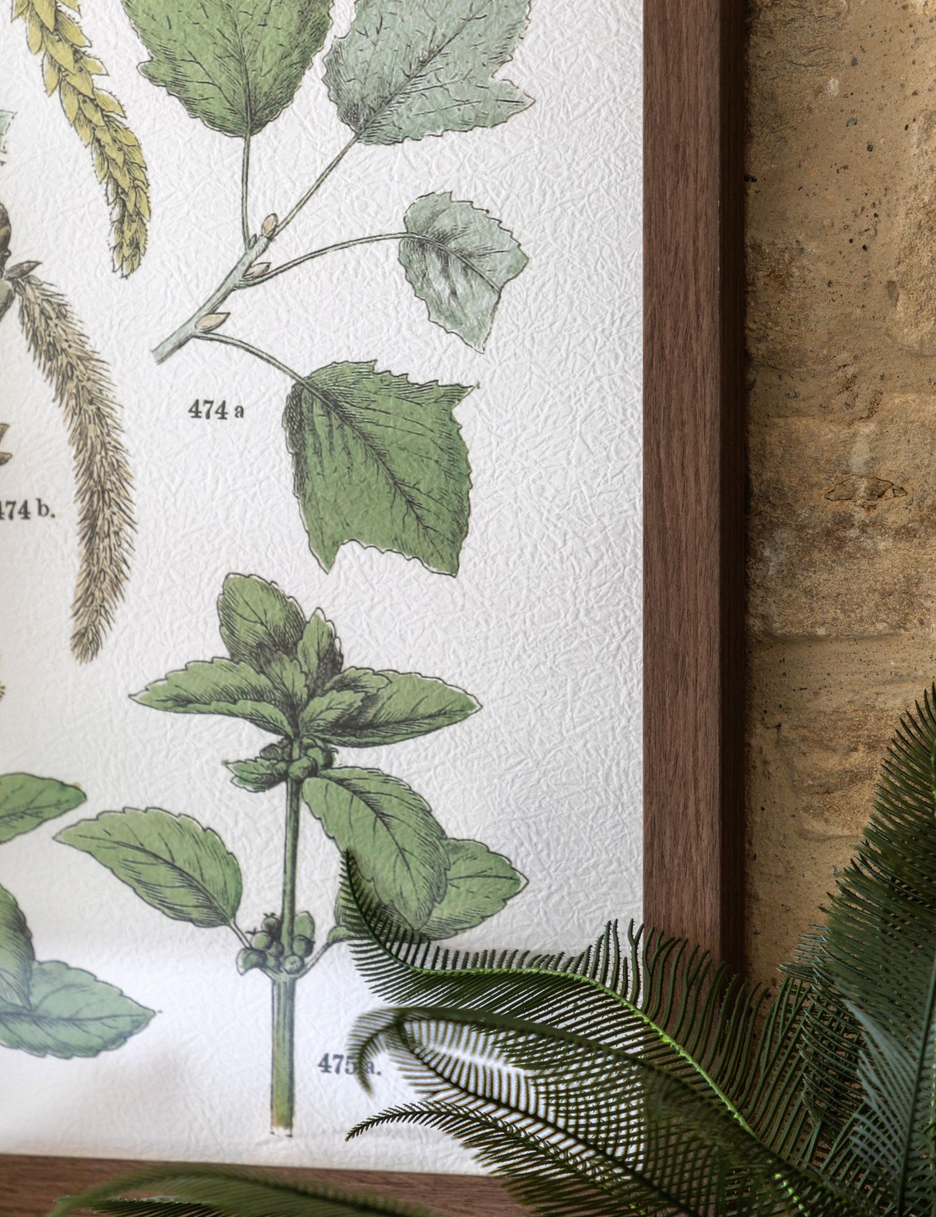Gallery Direct Foliage Study framed art set 80x60cm, UK version