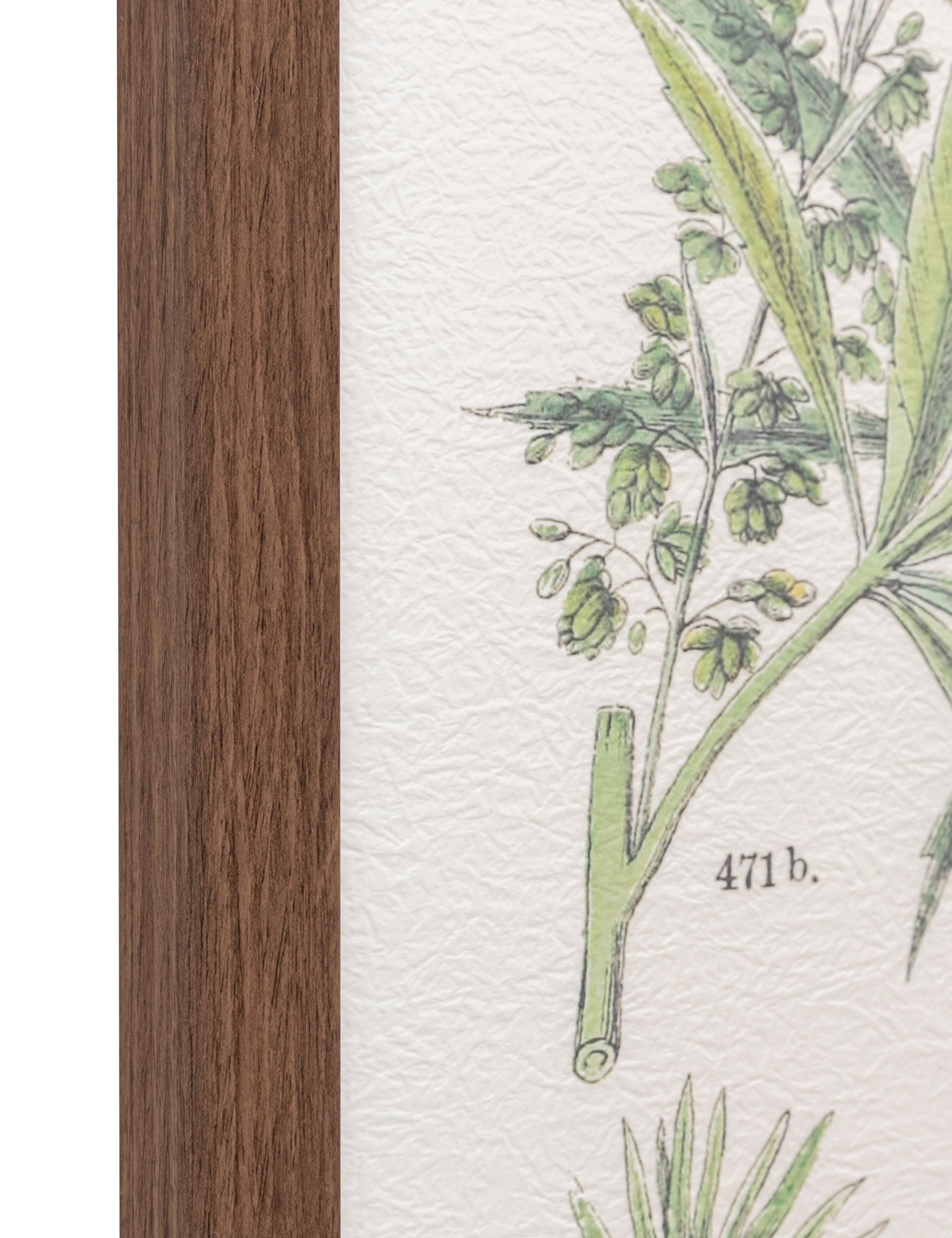 Gallery Direct Foliage Study framed art set 80x60cm, UK version