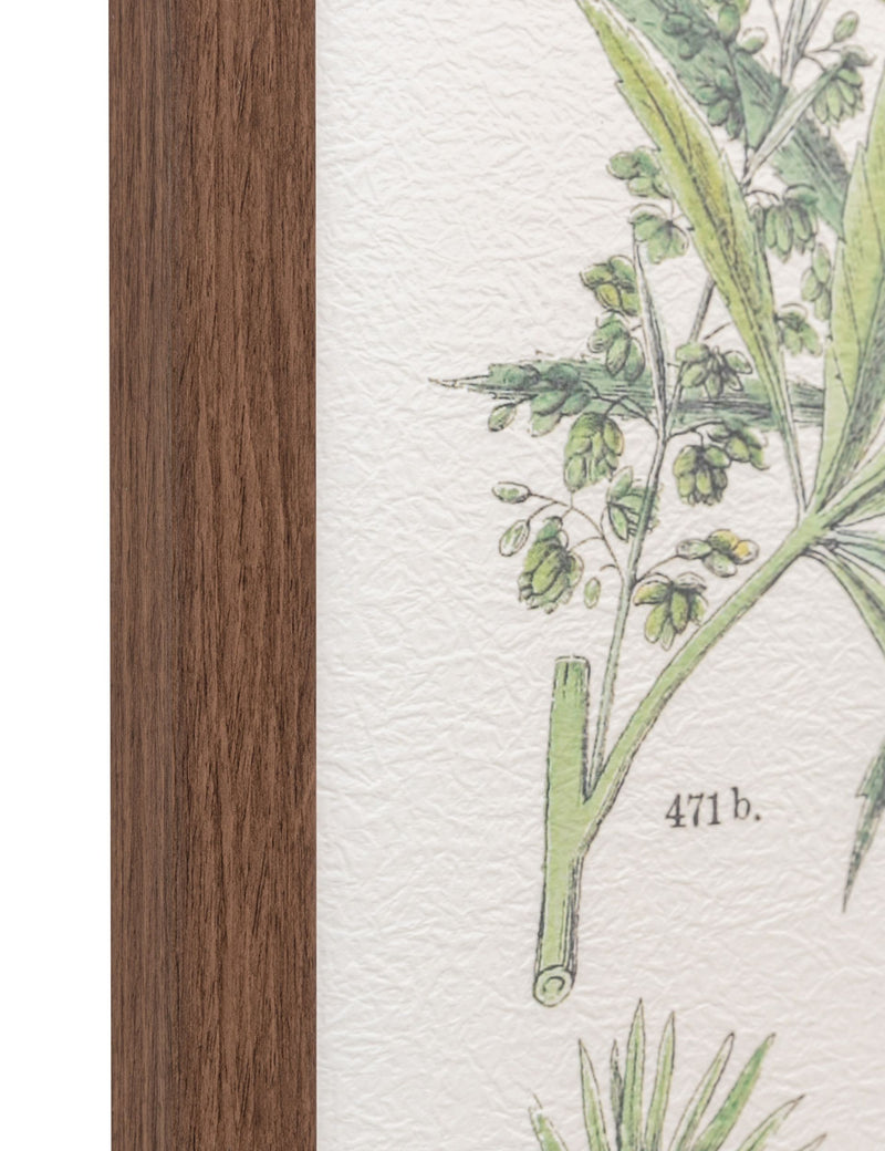 Gallery Direct Foliage Study framed art set 80x60cm, UK version