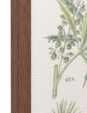 Gallery Direct Foliage Study framed art set 80x60cm, UK version