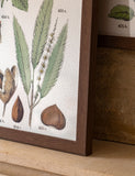 Gallery Direct Foliage Study framed art set 80x60cm, UK version