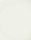 Wedgwood Gio dinner plates set of 2 fine bone china, imported from the UK