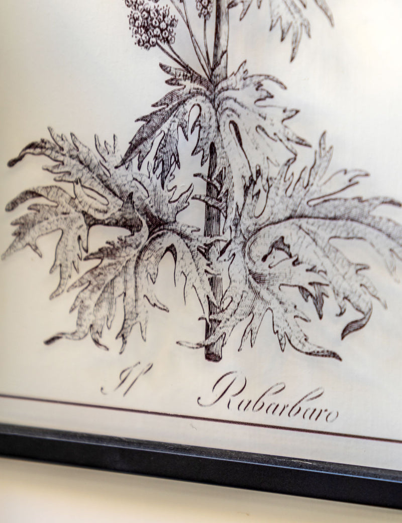 Gallery Direct petiole framed art set, imported from the UK