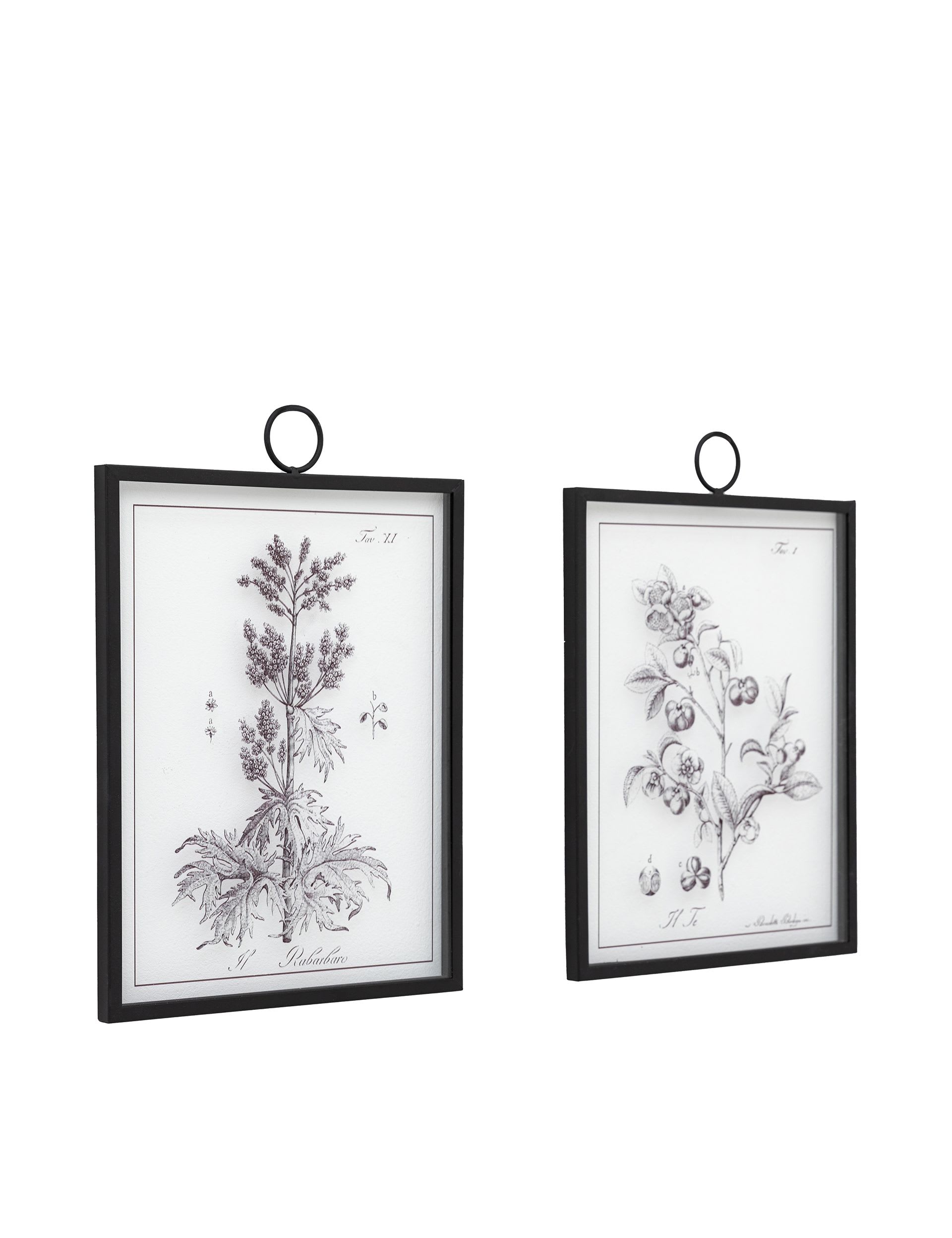 Gallery Direct petiole framed art set, imported from the UK