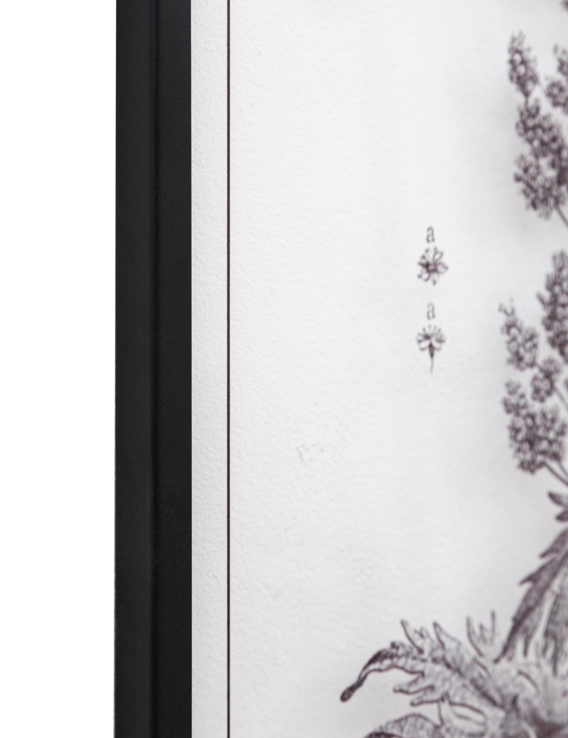 Gallery Direct petiole framed art set, imported from the UK