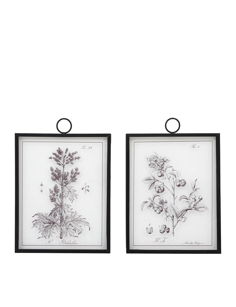 Gallery Direct petiole framed art set, imported from the UK