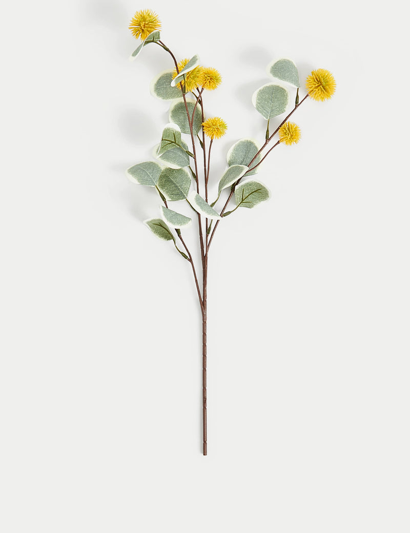 Artificial eucalyptus erythrocorys stems set of three (British brand)