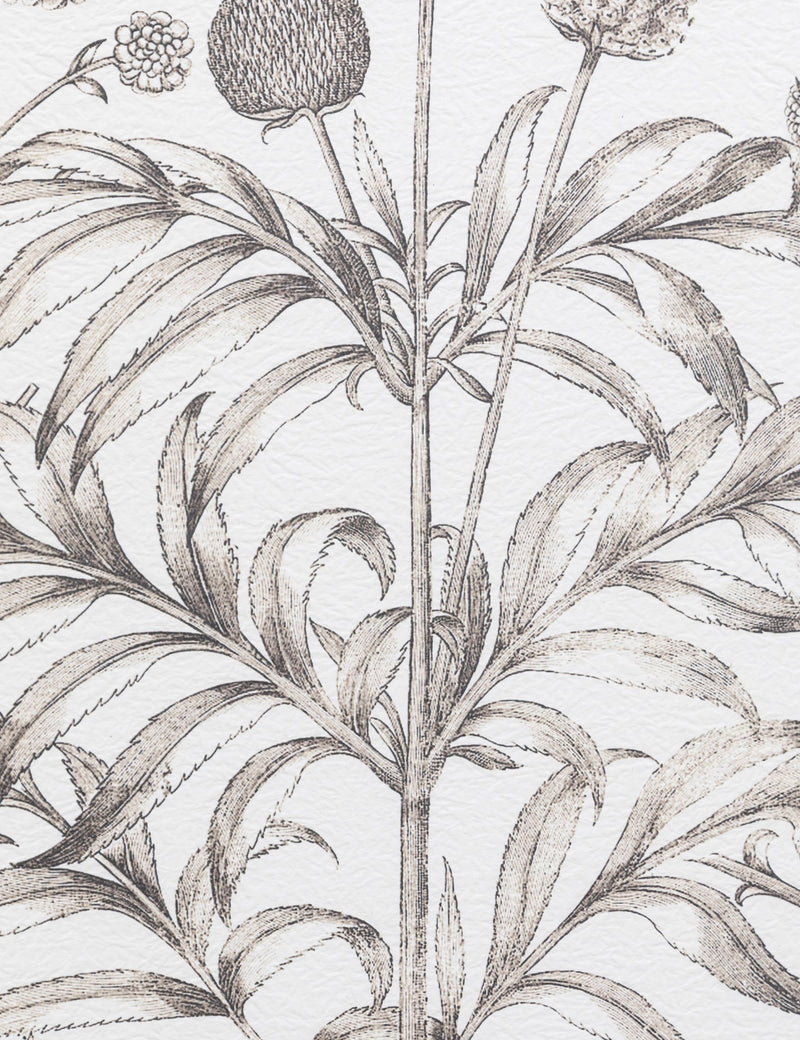Gallery Direct set of 3 botanical framed prints, imported from the UK