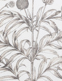Gallery Direct set of 3 botanical framed prints, imported from the UK