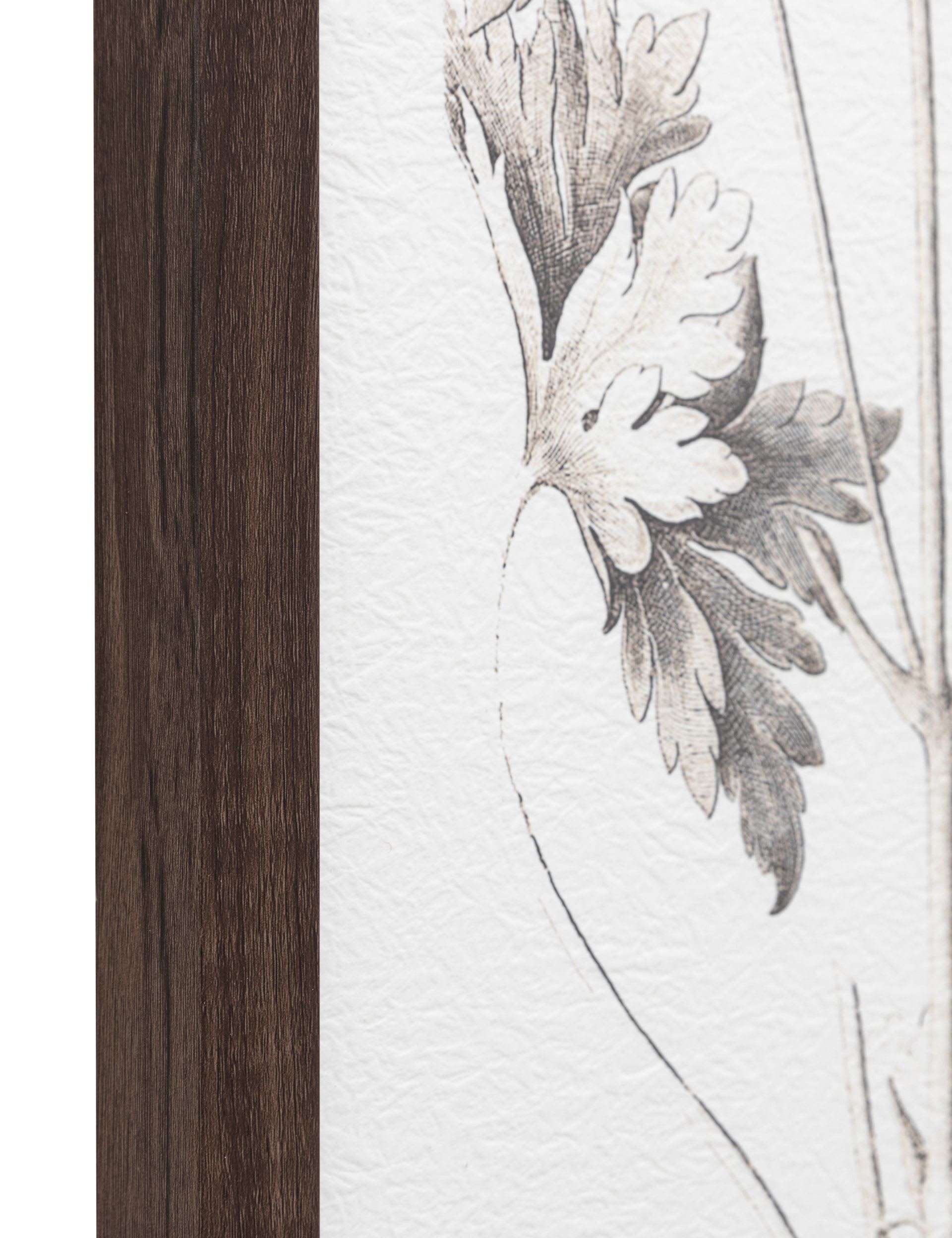 Gallery Direct set of 3 botanical framed prints, imported from the UK