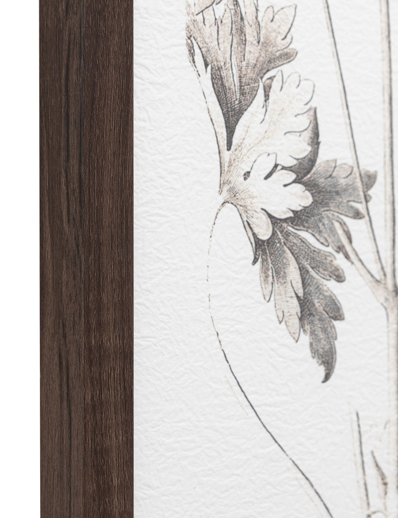 Gallery Direct set of 3 botanical framed prints, imported from the UK